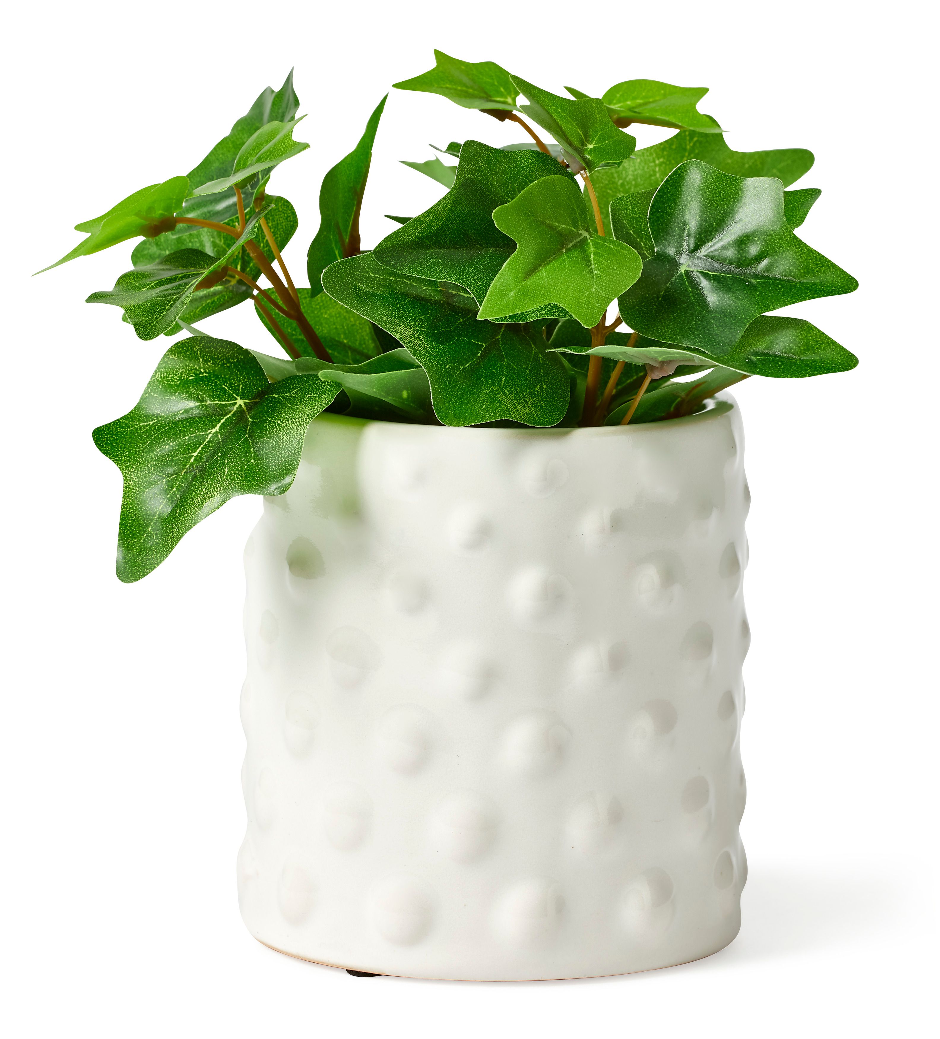 Murgröna Konstväxt i kruka view 2