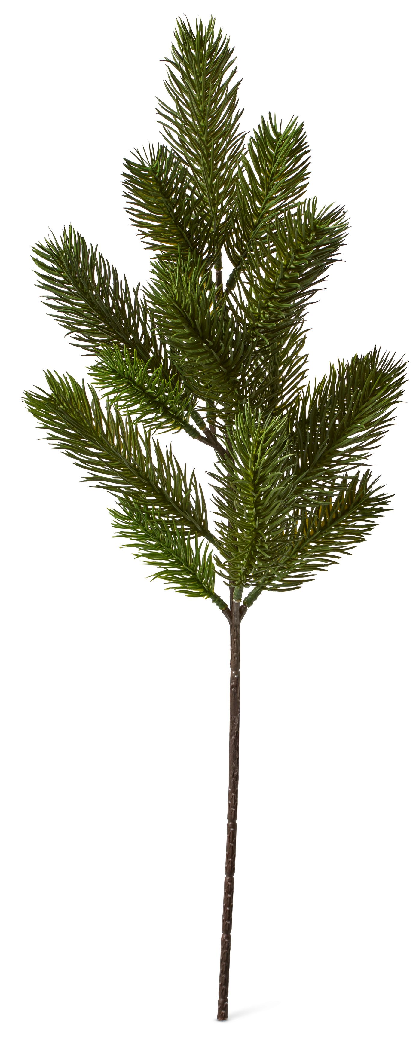 Grankvist Konstväxt