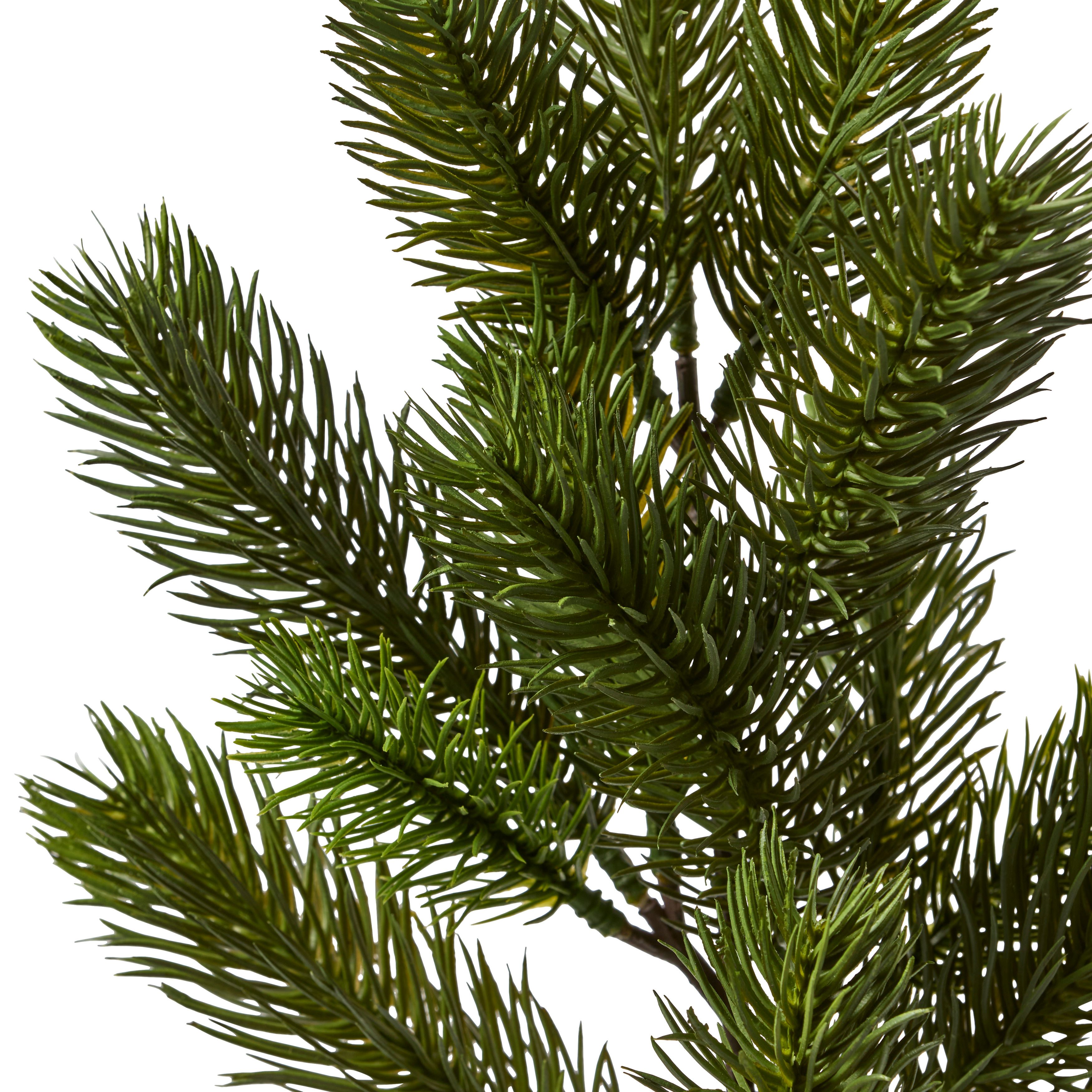 Grankvist Konstväxt view 2