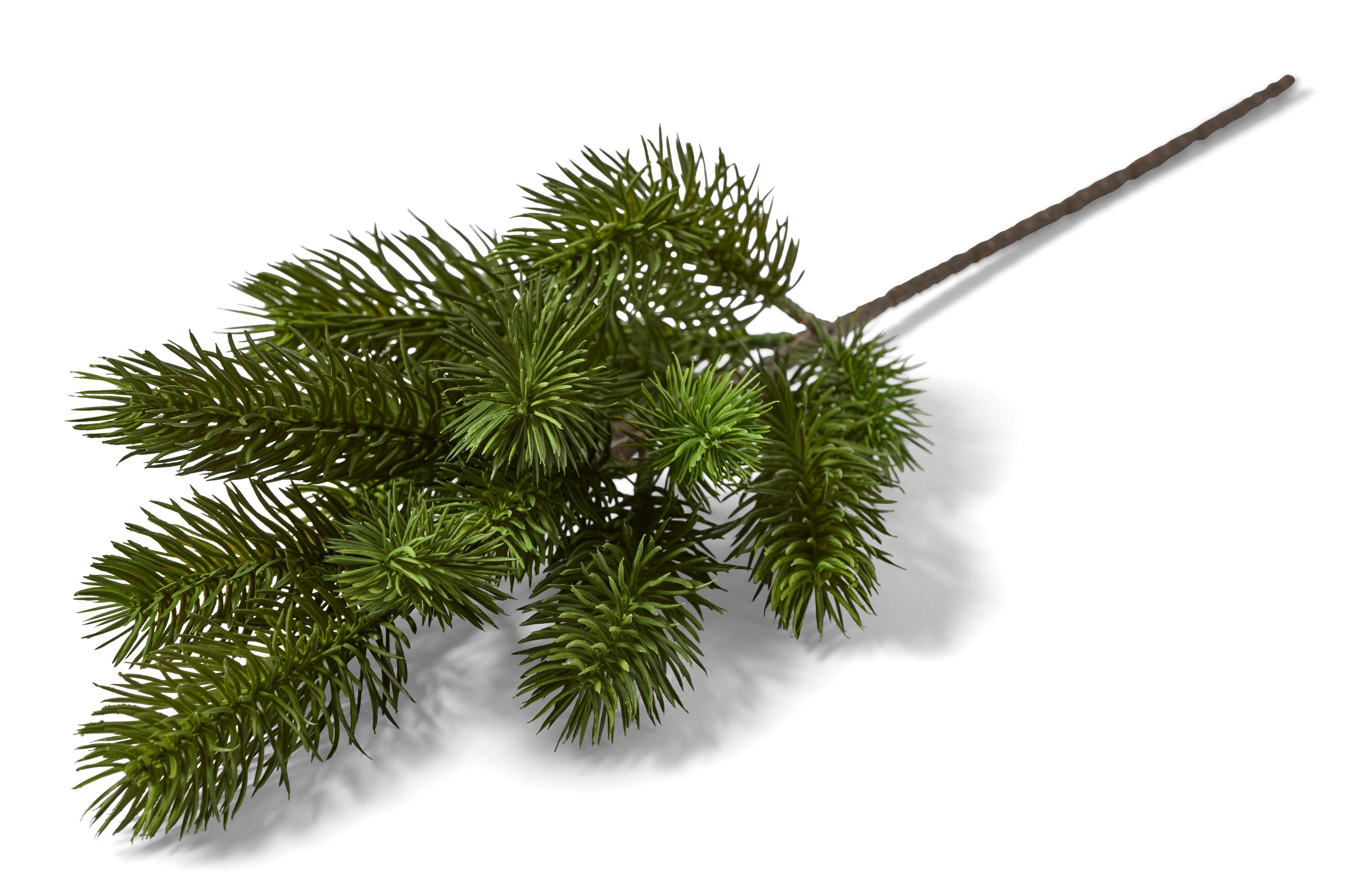 Grankvist Konstväxt view 3