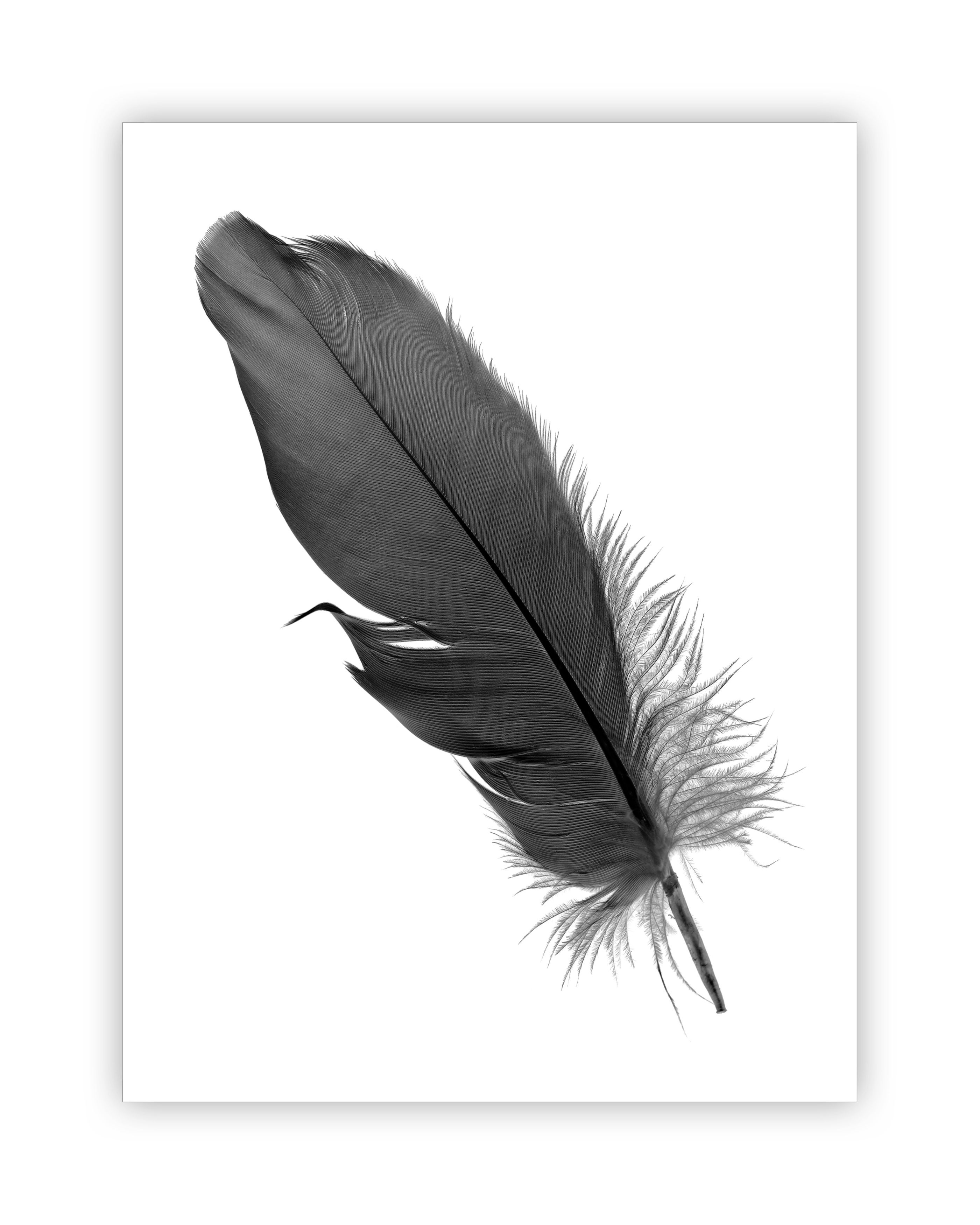 Postcard Poster view 5