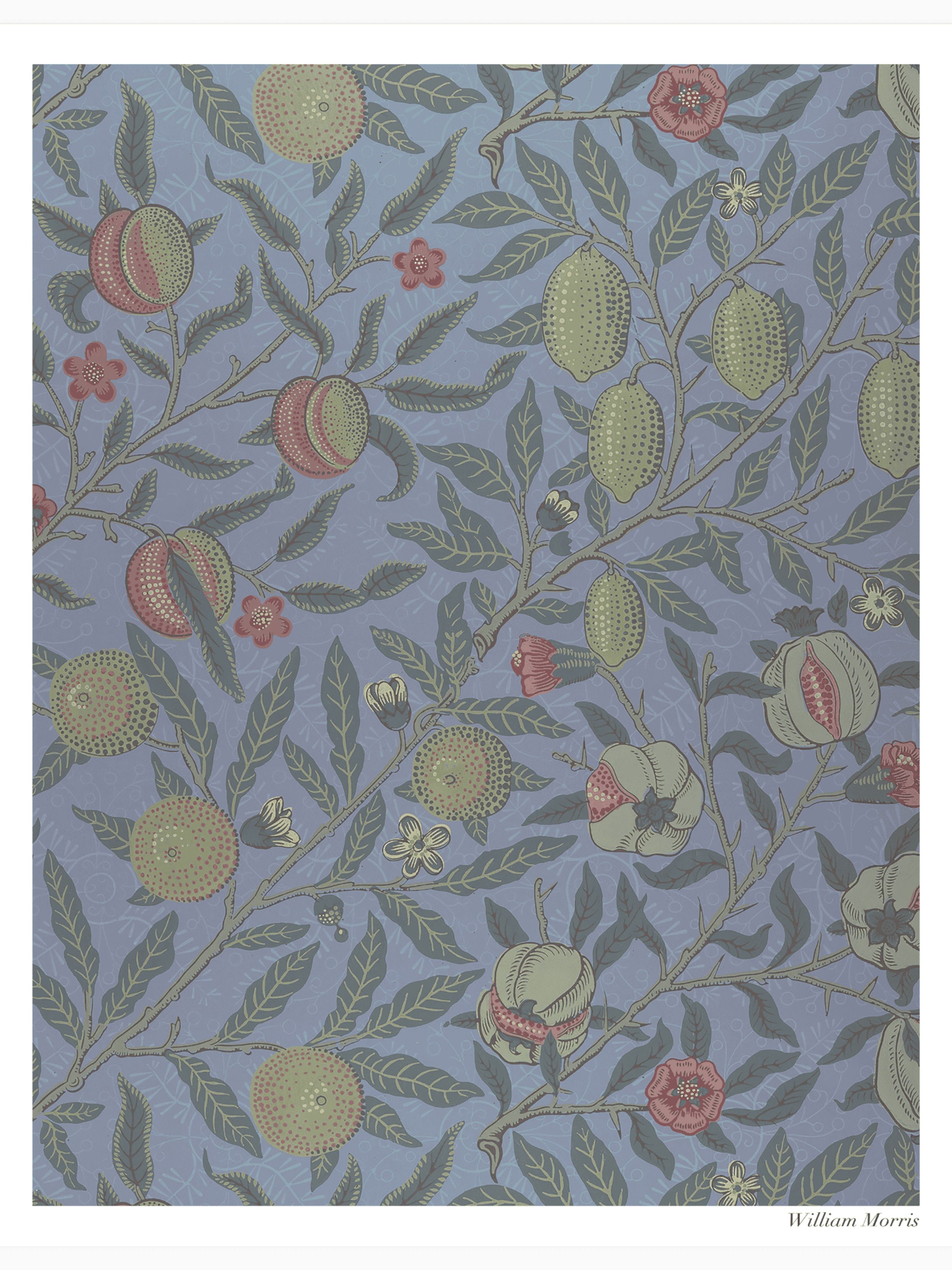 Fruit or Pomegranate Poster