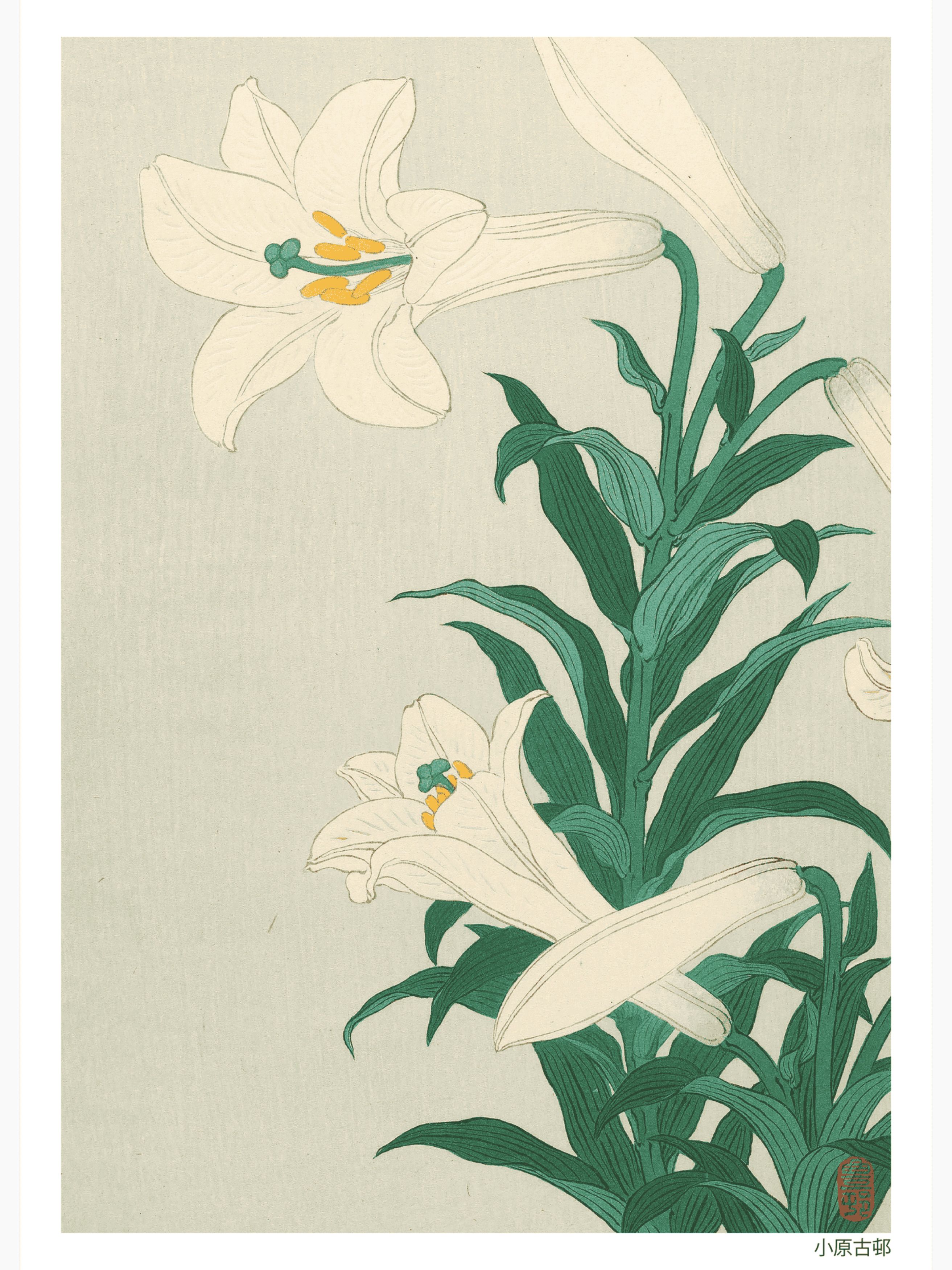 Lilies Poster