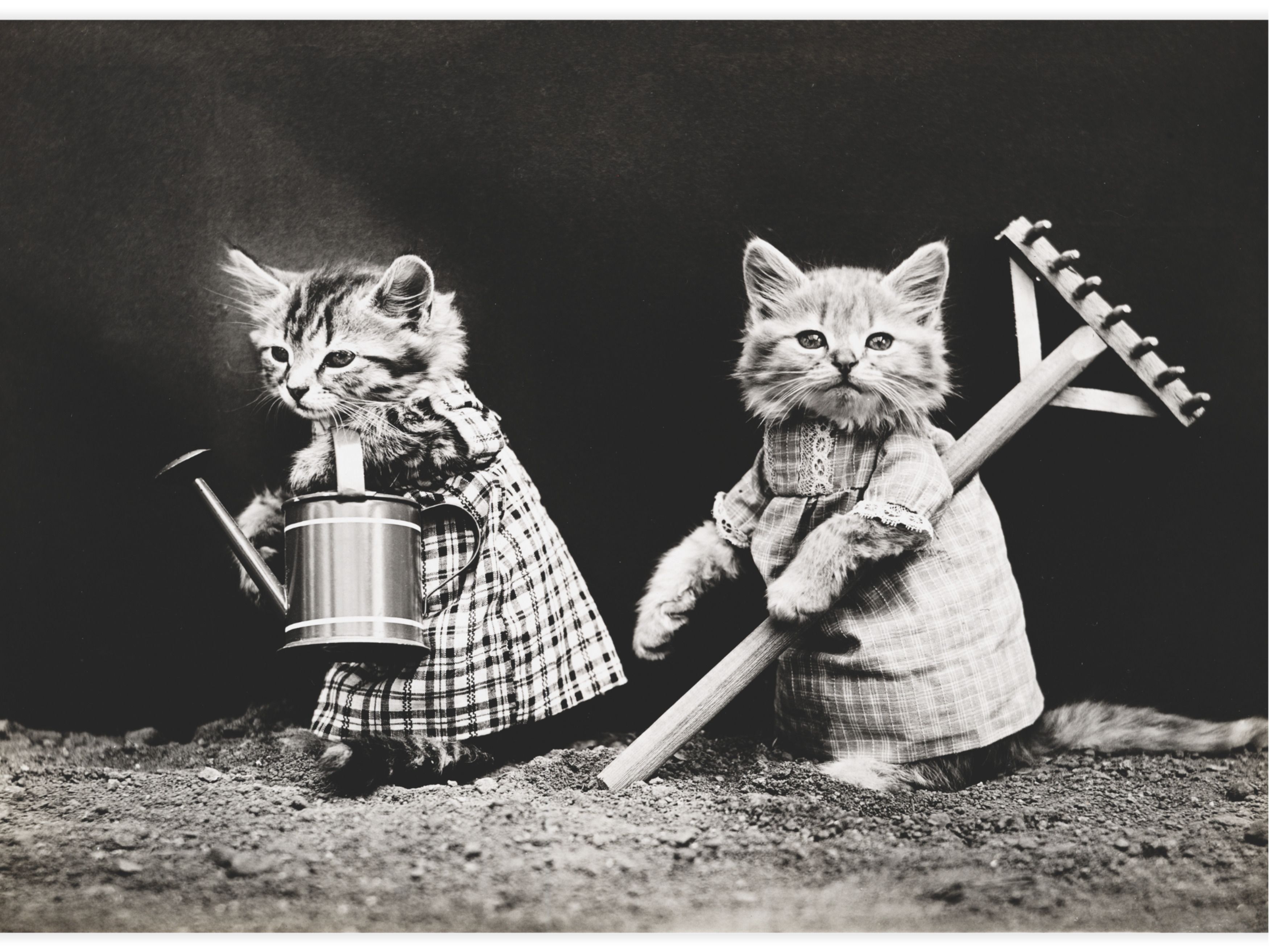 Planting time Poster