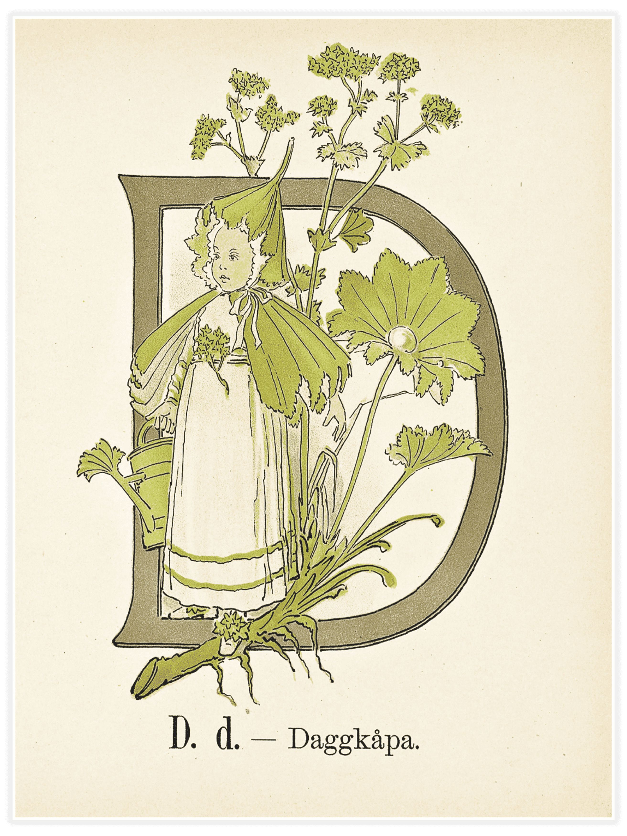 Prinsarnes blomsteralfabet - D Poster
