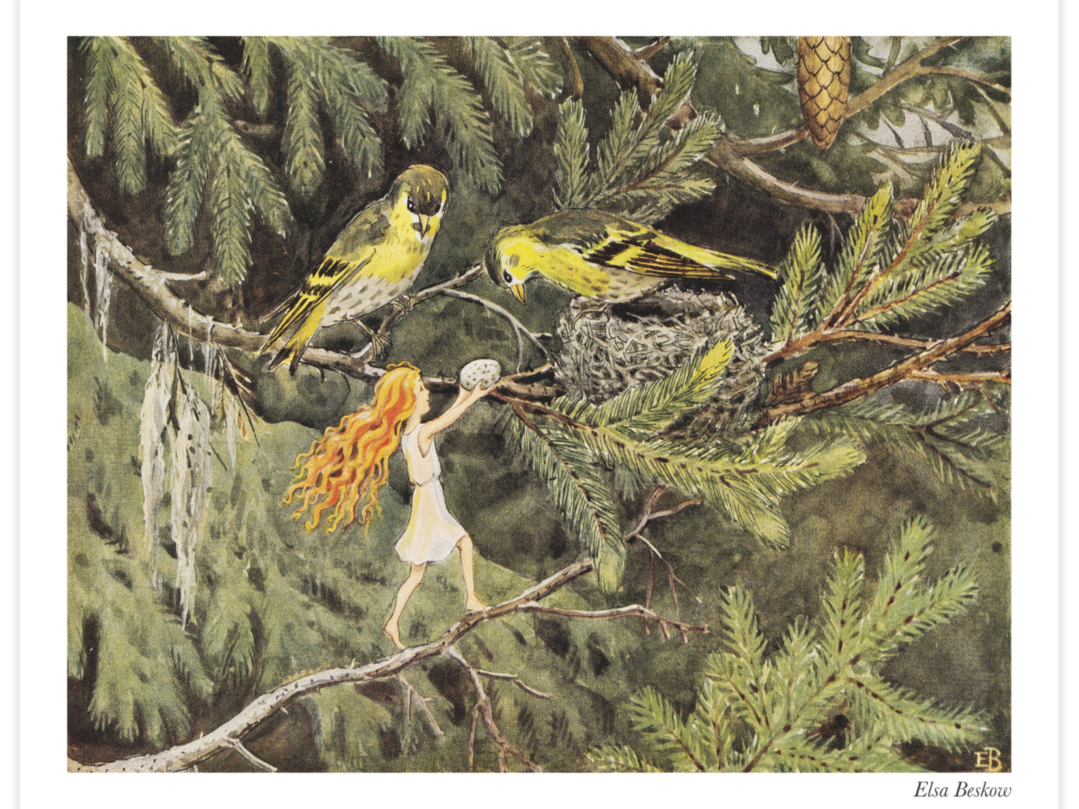 Älvan och småfåglarna i skogen Poster