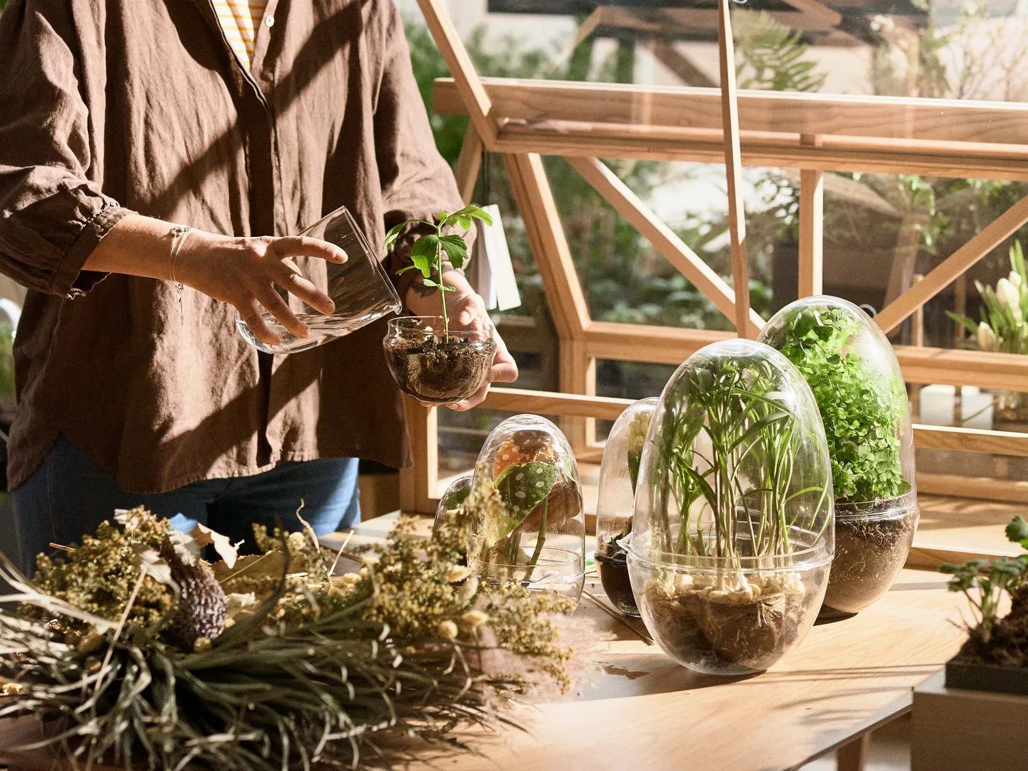 grow-odlingskupa view 7