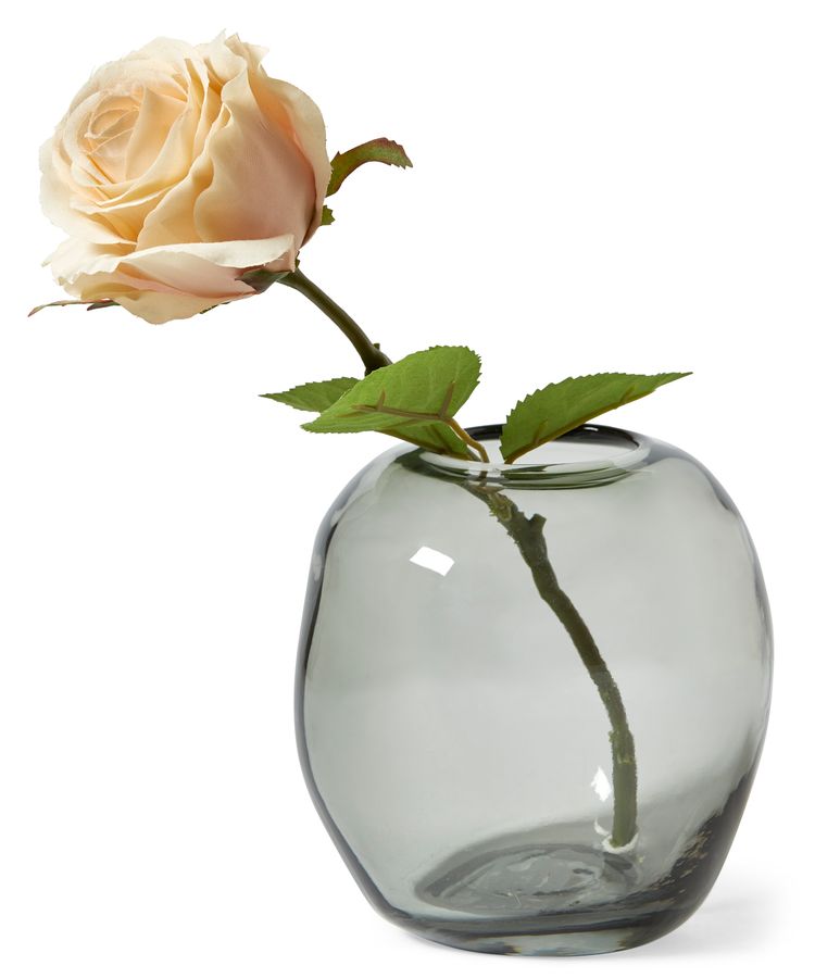 Ros Snittblomma view 2