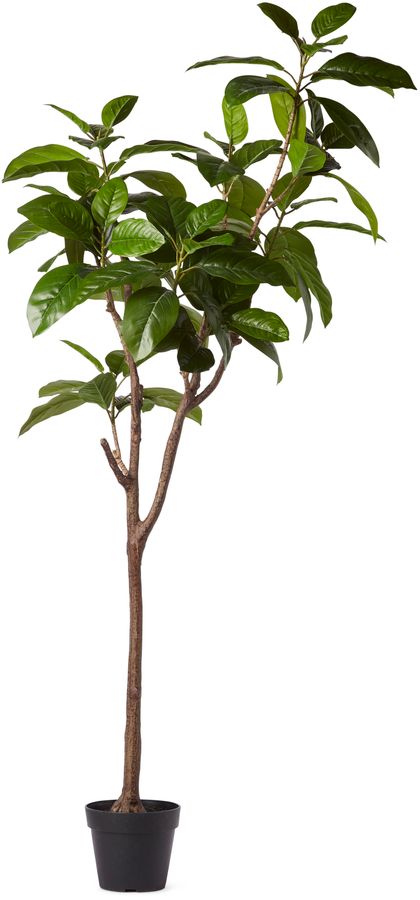 Fikus Träd Konstväxt i kruka