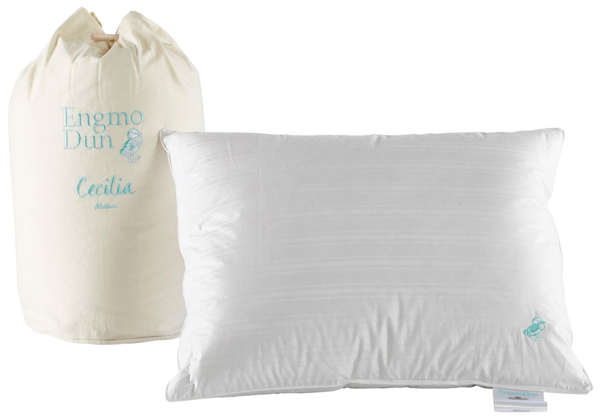 EngmoDun Cecilia Dunkudde view 2