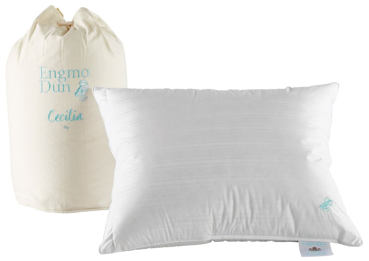 EngmoDun Cecilia Dunkudde view 2