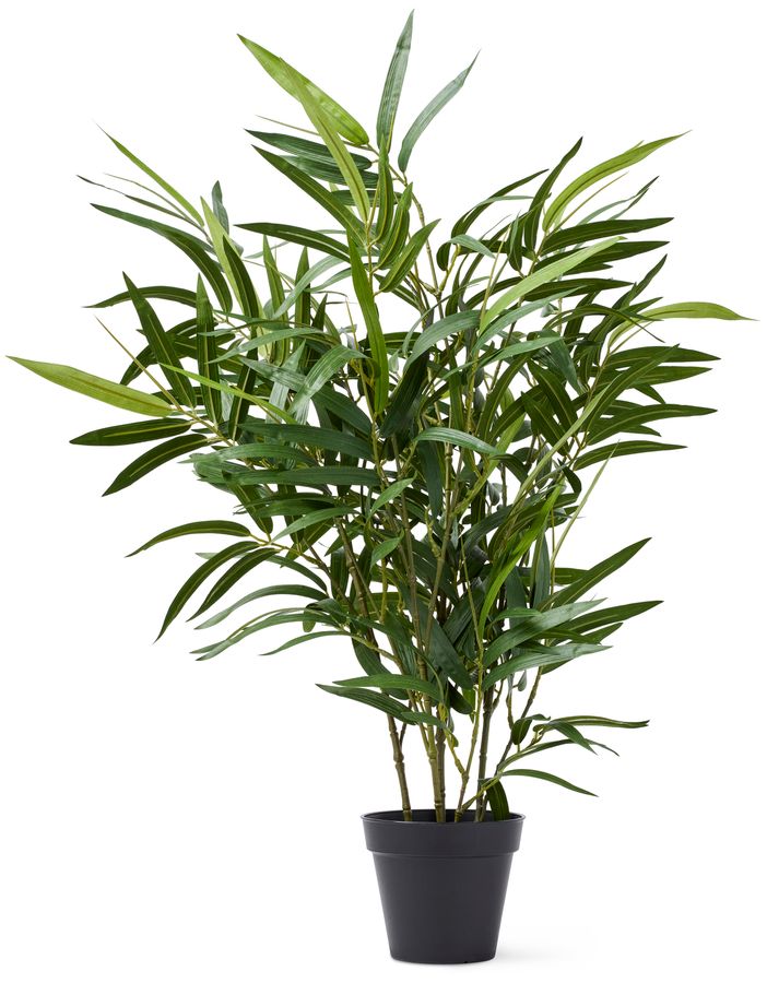 Bambu Konstväxt i kruka