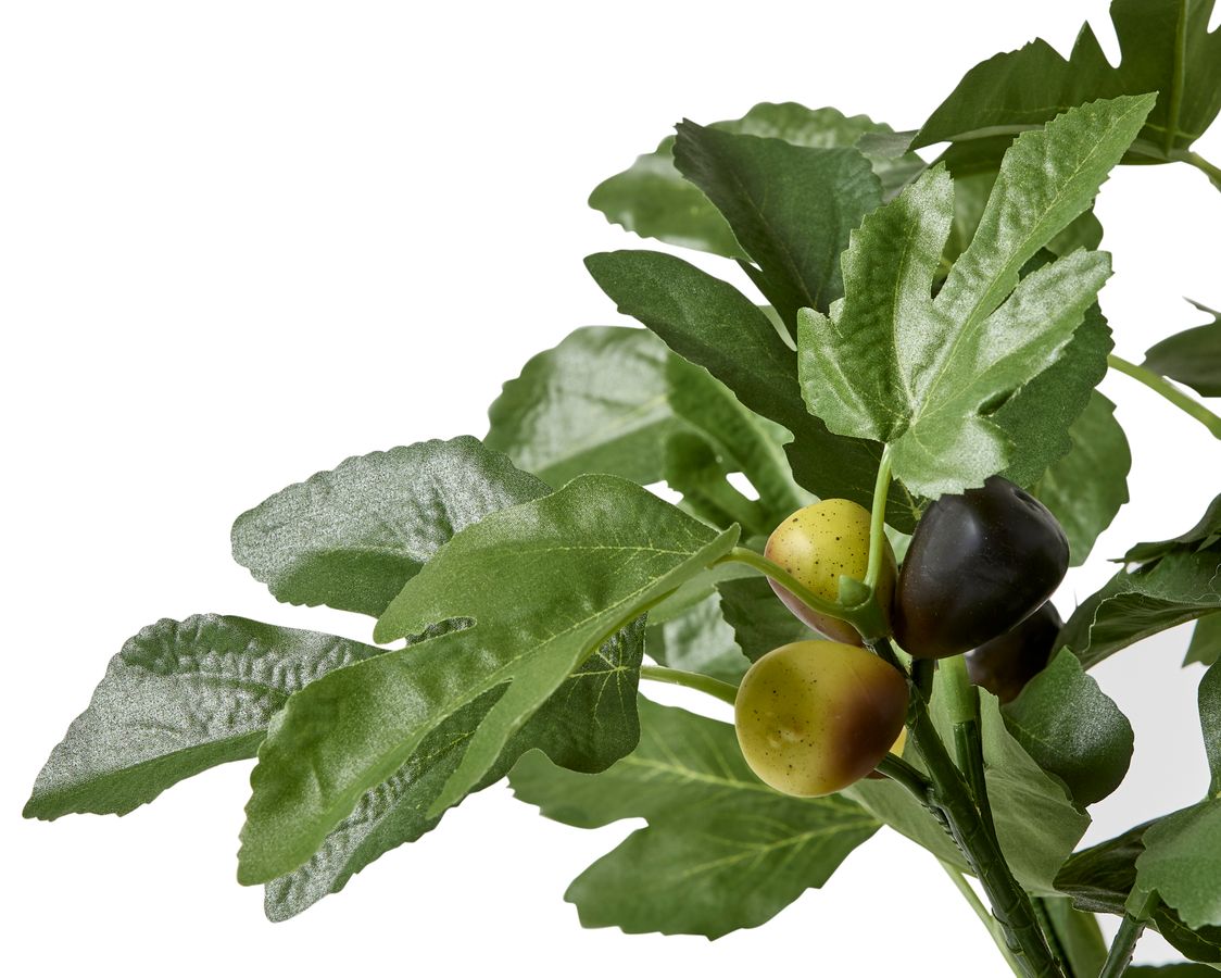 Fikon Konstväxt i kruka view 2