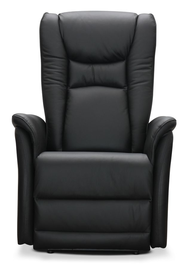 Elof Recliner view 2