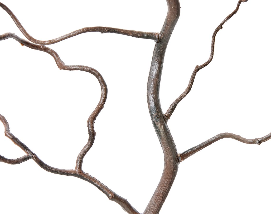 Trollhassel Kvist view 2