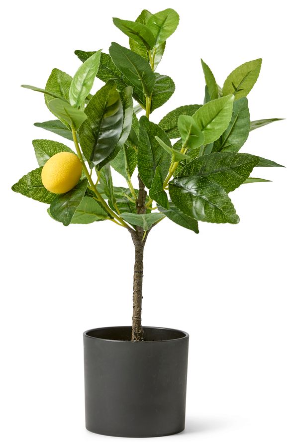 Citronträd Konstväxt i kruka