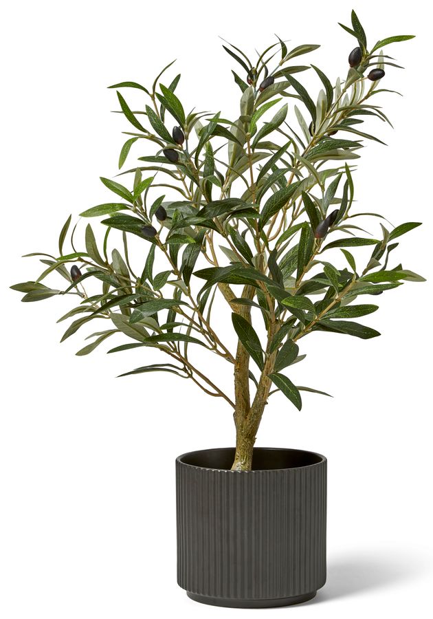 Olivträd Konstväxt i kruka view 2