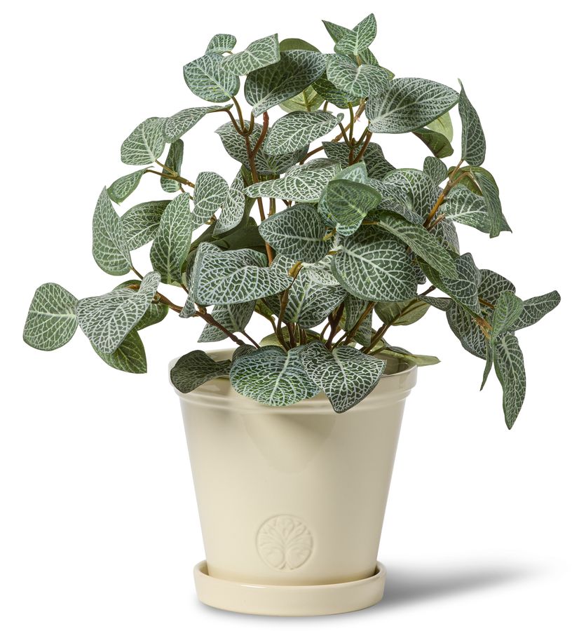 Saltsjö Kruka view 4