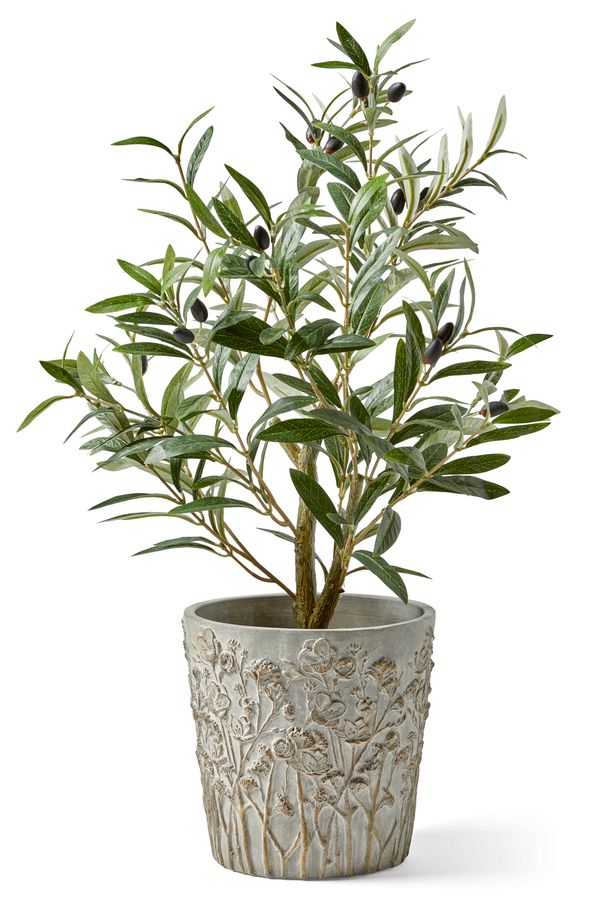 Ängsblomma Kruka view 2