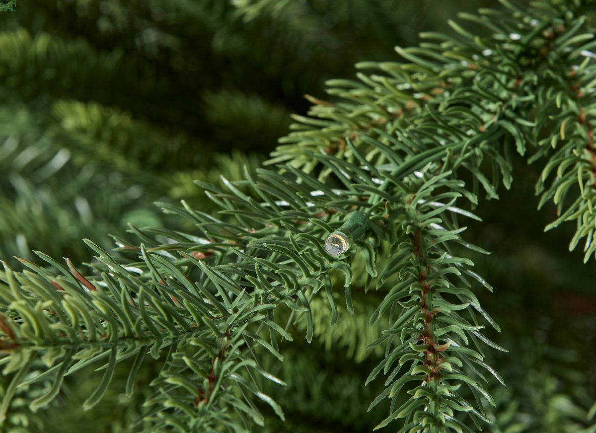 Åre Deluxe Julgran view 2