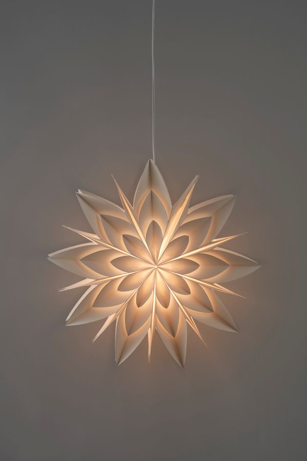 Paloma Julstjärna view 2