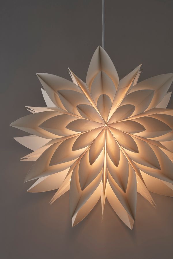 Paloma Julstjärna view 3