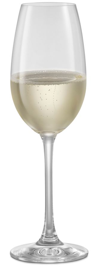 Vivino Champagneglas view 3