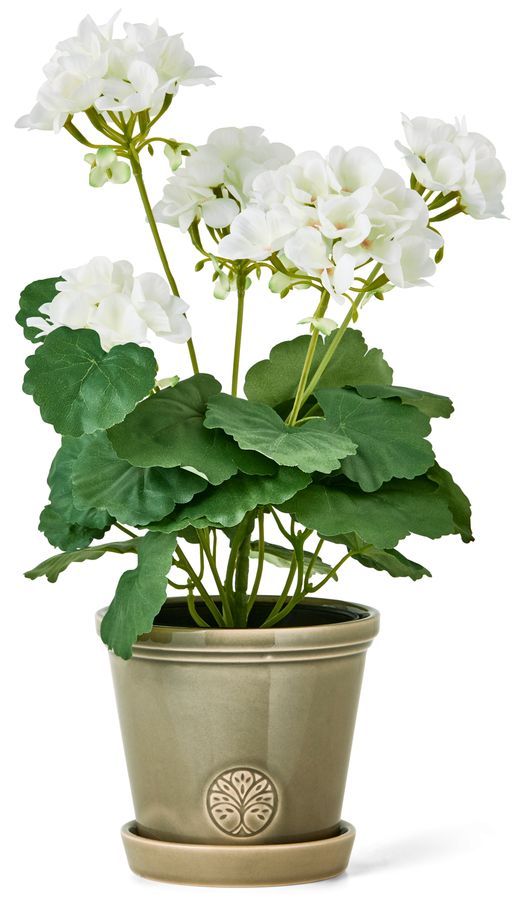 Pelargon Konstväxt i kruka view 2