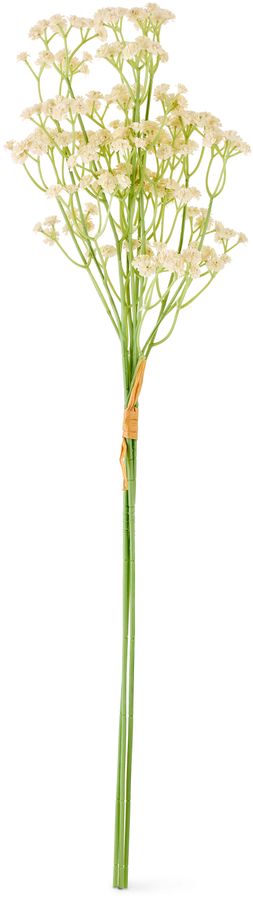 Brudslöja Konstväxt