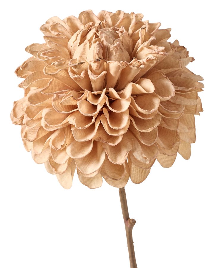 Dahlia Konstväxt view 2