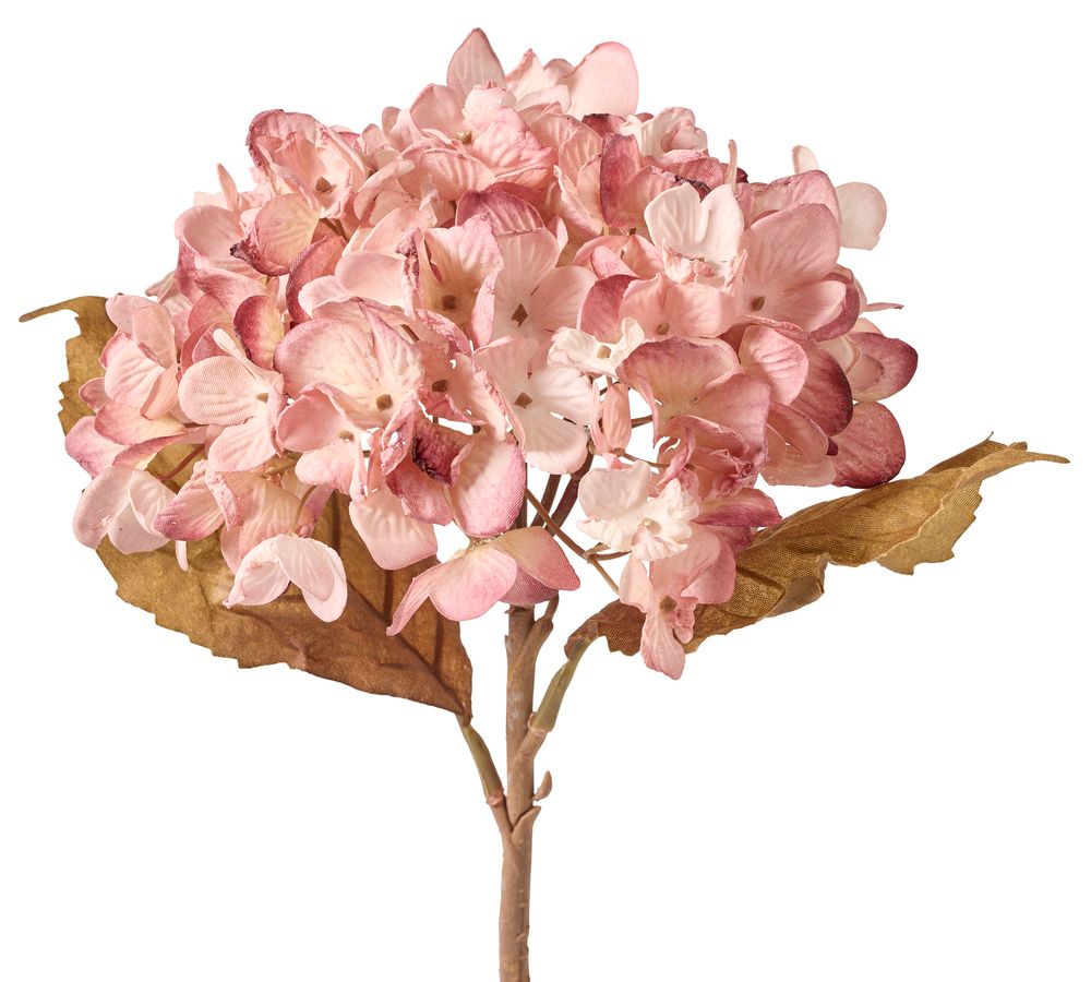 Hortensia Konstväxt view 2