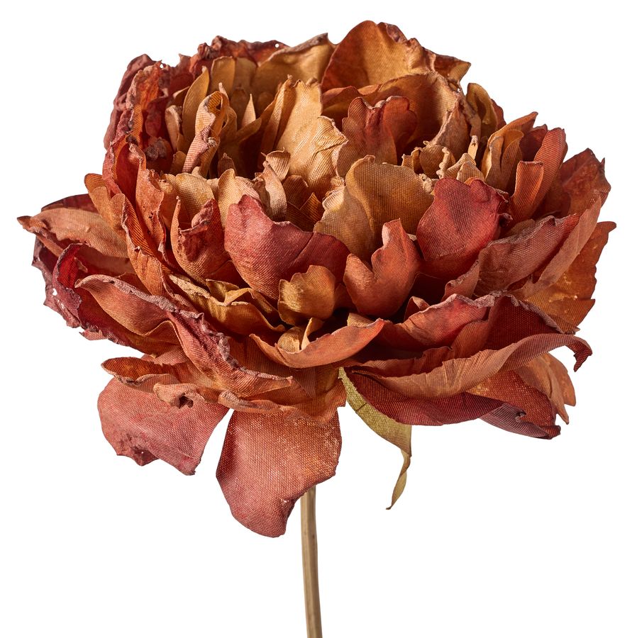 Pion Konstväxt view 2