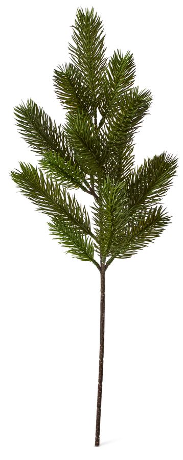 Grankvist Konstväxt