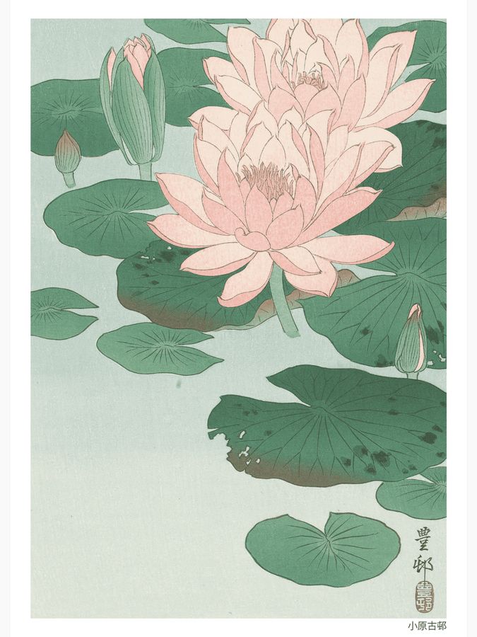 Flowering Water Lily Poster