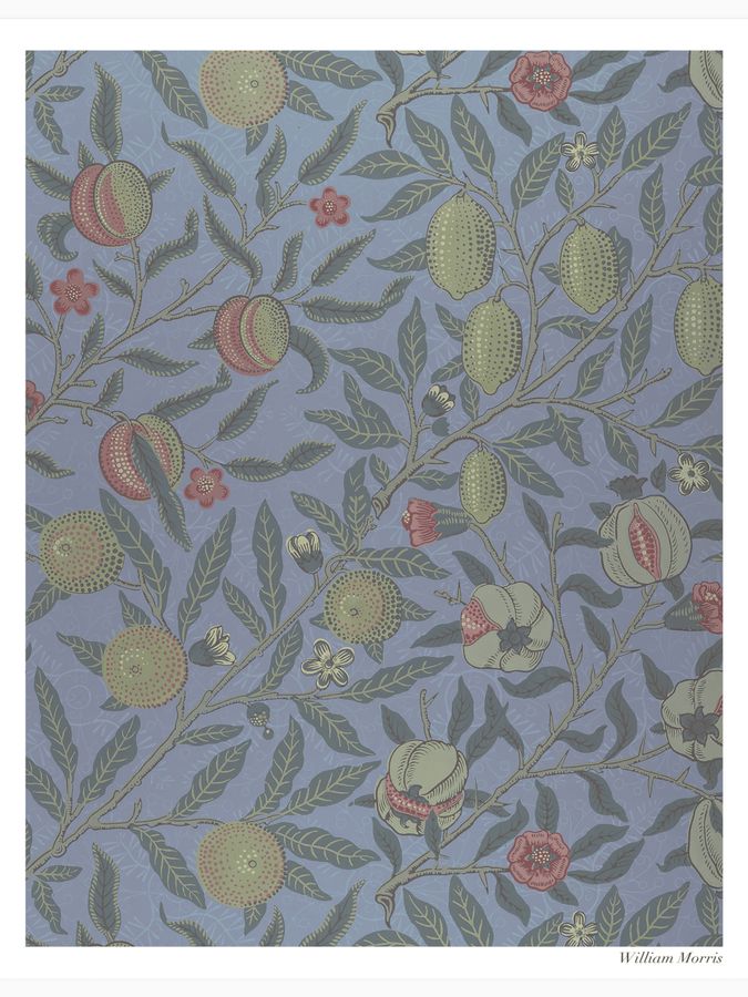 Fruit or Pomegranate Poster