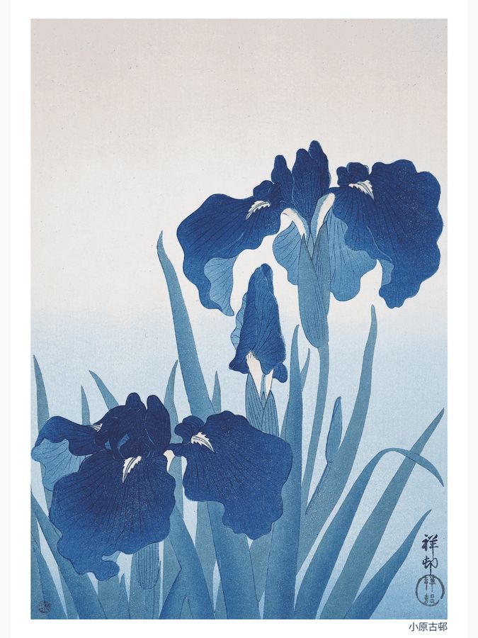 Irises Poster