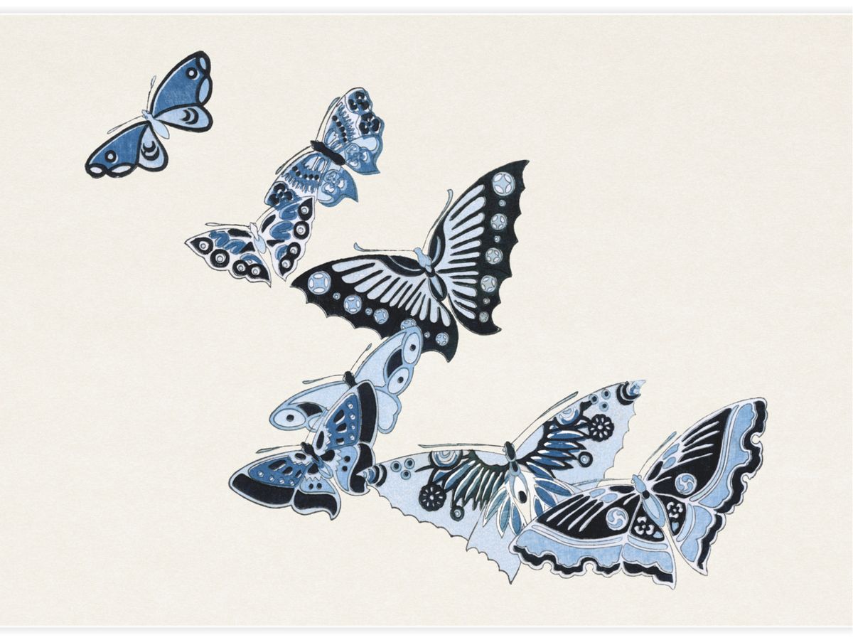 Japanese butterfly Poster