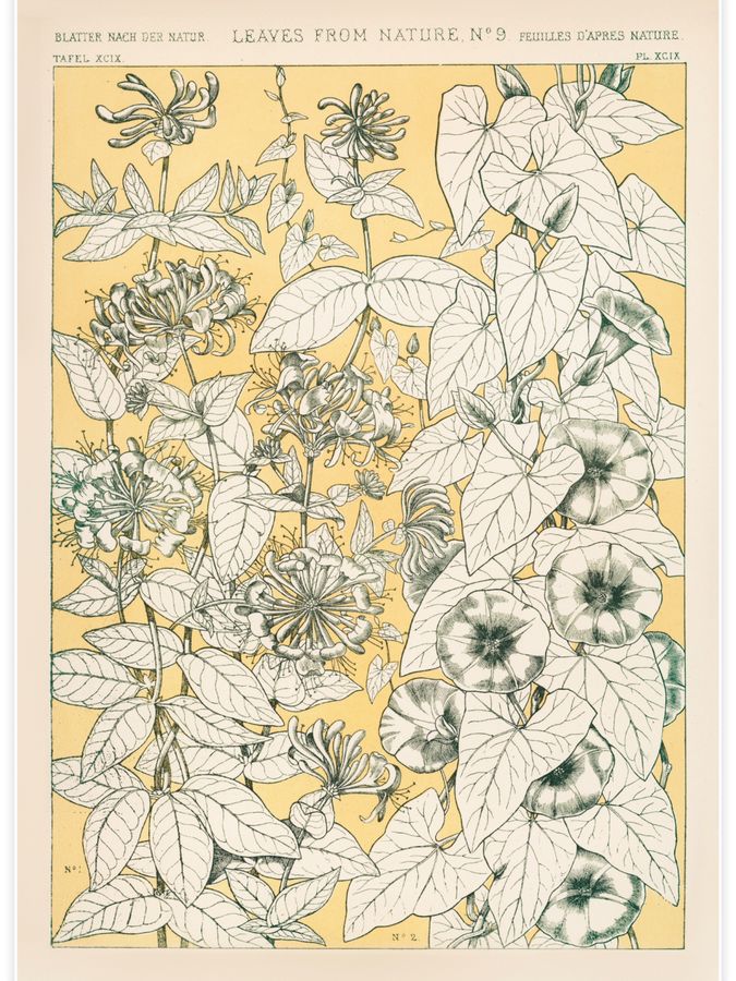 Leaves from Nature No.9 Poster