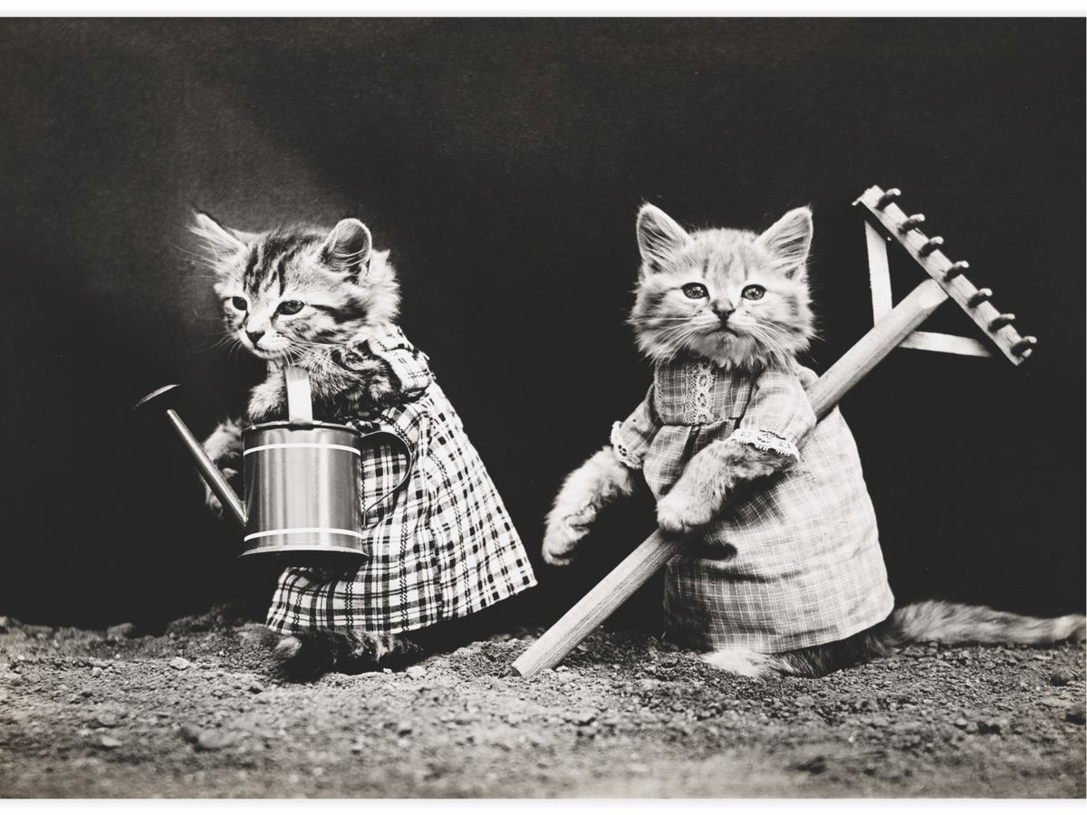 Planting time Poster