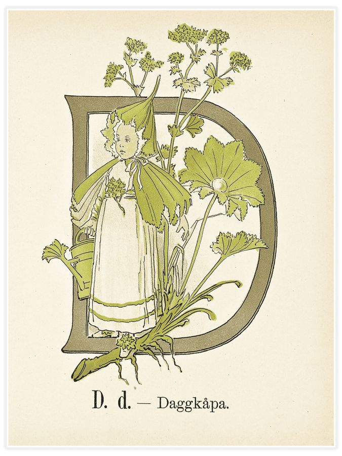 Prinsarnes blomsteralfabet - D Poster