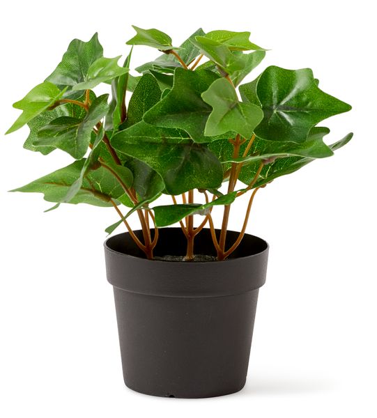 Murgröna Konstväxt i kruka