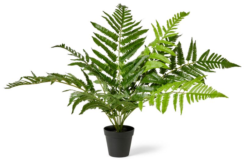 Ormbunke Konstväxt i kruka