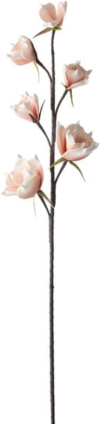 Amelia Blomdekoration