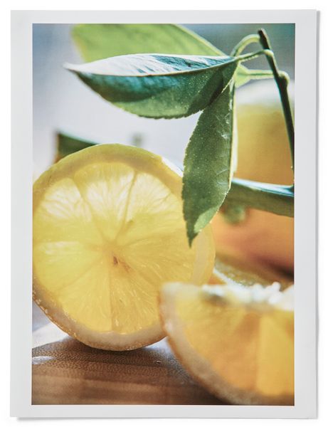 Lemon Poster