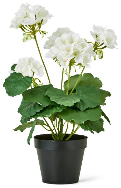 Pelargon Konstväxt i kruka