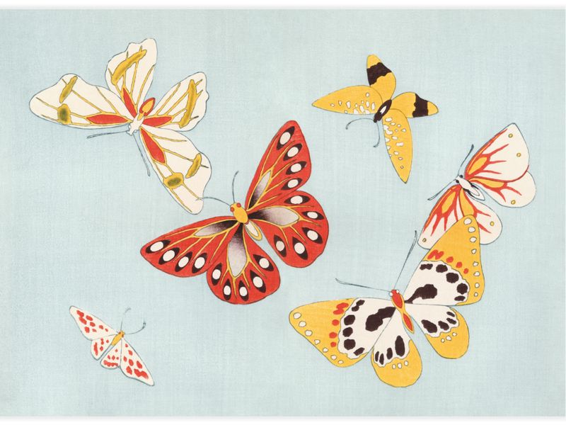 Japanese Butterfly No.7 Poster