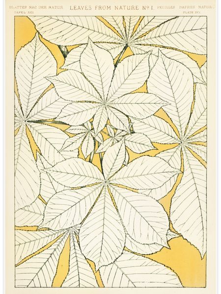 Leaves from Nature No.1 Poster