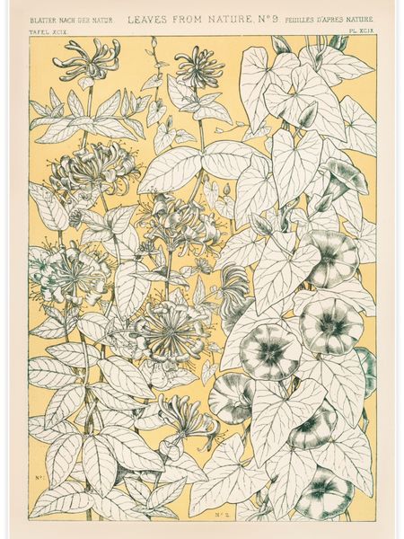 Leaves from Nature No.9 Poster