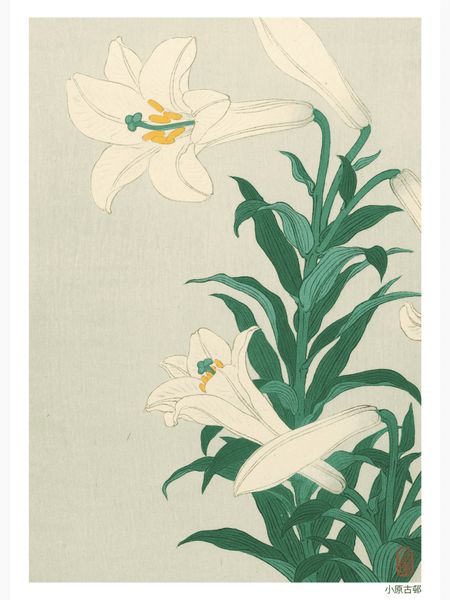 Lilies Poster