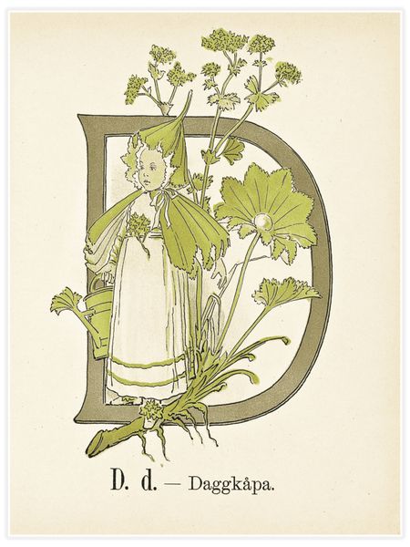 Prinsarnes blomsteralfabet - D Poster